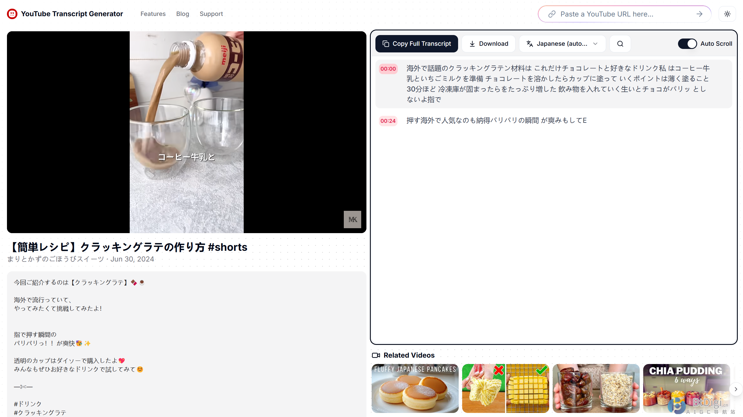 YouTube Transcript Generator
